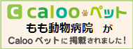 calooペット